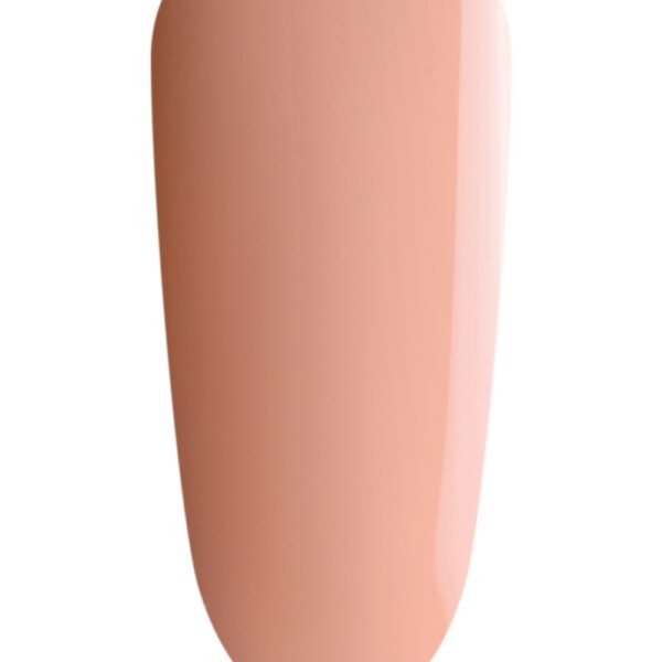 TGB - Macaroon MINI -12.49$