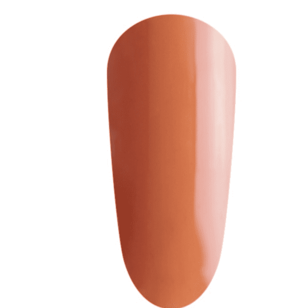 TGB - Pumpkin MINI -12.49$