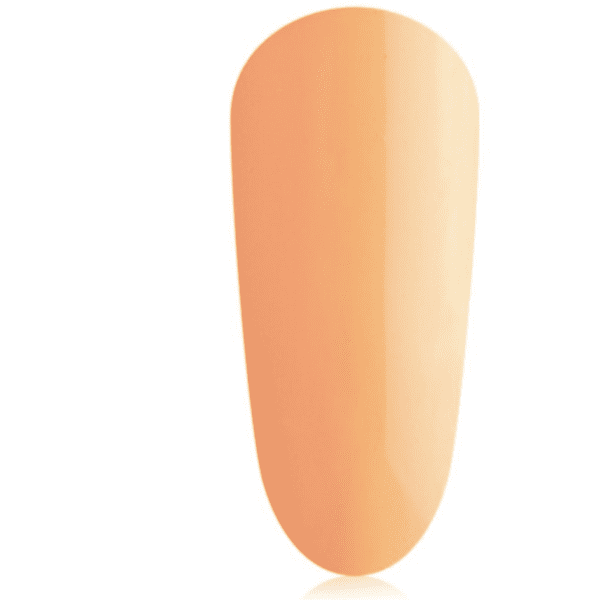 the gel bottle