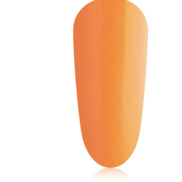 the gel bottle