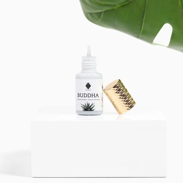Novoqueen -Colle Buddha Noire | Pour Extensions de Cils | Séchage Rapide